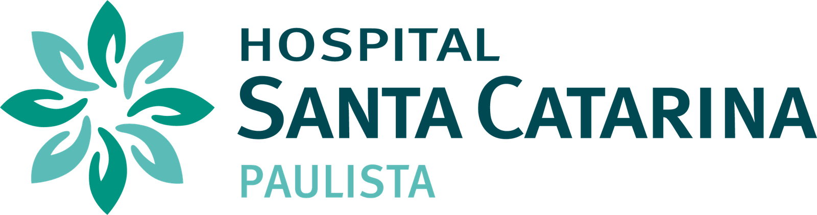 Logotipo do Santa Catarina